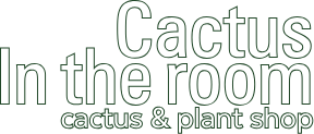 Cactus in the room